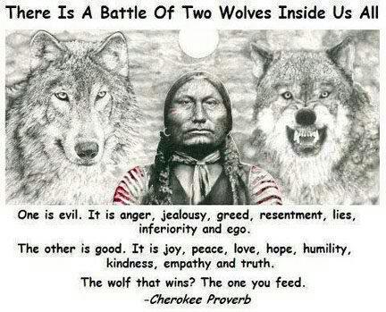 Good Wolf Bad Wolf