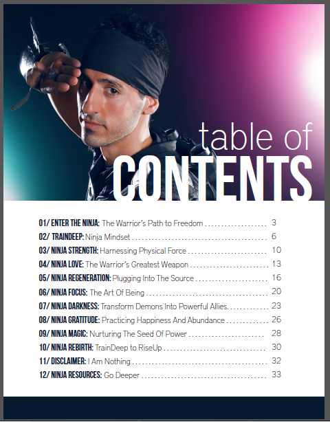 Art of Ninja Table of Contents