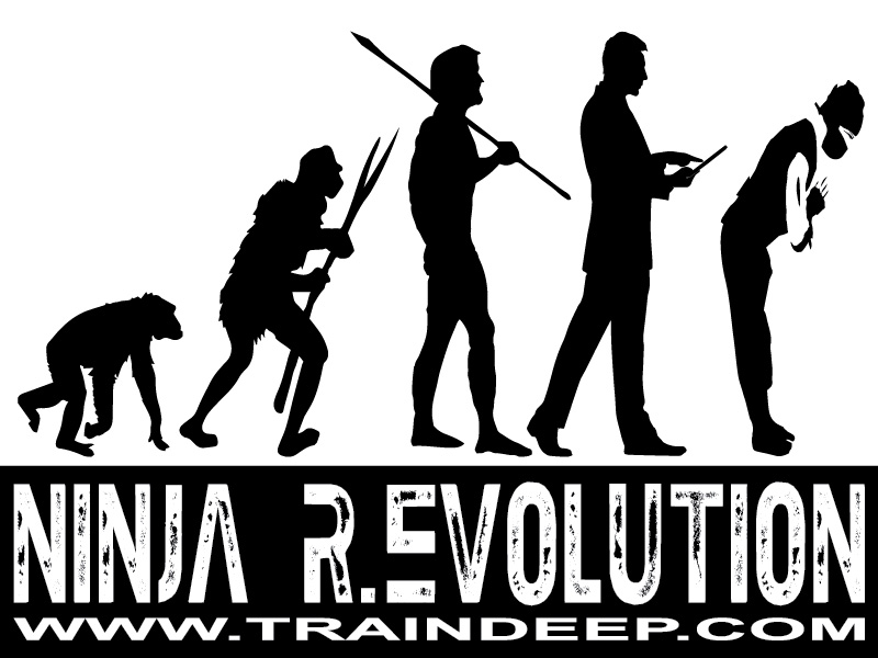 Ninja Revolution